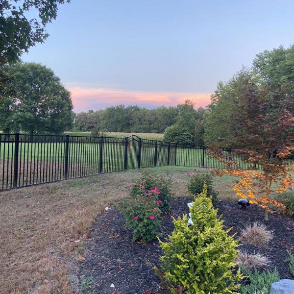 Black Top Rail Fence in Richmond