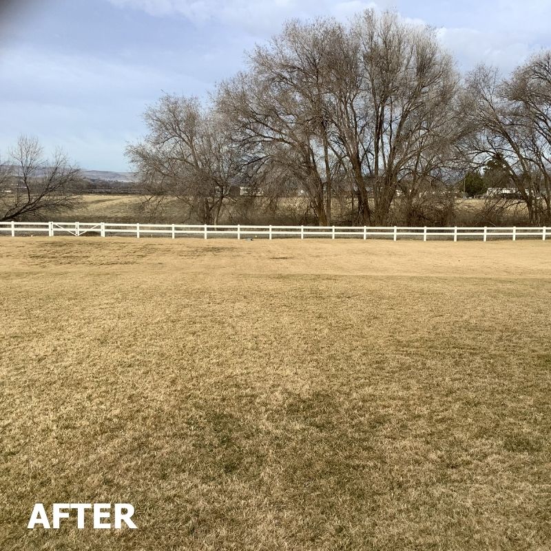 Ranch Rail vinyl fence installed by Top Rail Fence