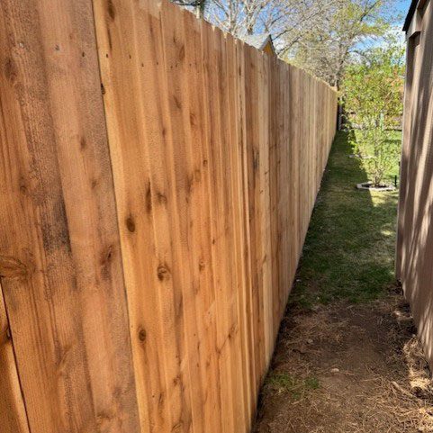 Western Red Cedar