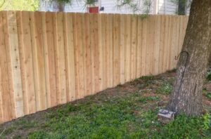 Privacy Fence