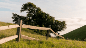 Broken wood farm fence